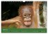 Orang Utans - Indonesien (Wandkalender... - Bild 9