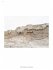 Confronting the Environmental Crisis:... - Bild 5
