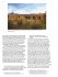 Confronting the Environmental Crisis:... - Bild 9