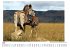 Zebras - (Wandkalender 2025, Kalender... - Bild 5