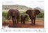Kenia - (Wandkalender 2025, Kalender... - Bild 3