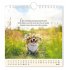 Postkartenkalender 2026 Lebenszeichen - Bild 7