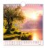 Postkartenkalender 2026 Lebenszeichen - Bild 8