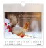 Postkartenkalender 2026 Traumtage - Bild 2