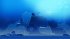 Neva (PlayStation 5) - Bild 3