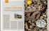 DUMONT Bildatlas Bretagne - Bild 6