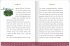 Buchbox-Adventskalender - Charles... - Bild 5