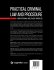 Practical Criminal Law and Procedure - Bild 2
