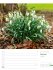 Unser Wald Wochenplaner Kalender 2026 - Bild 11