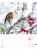 Unser Wald Wochenplaner Kalender 2026 - Bild 13