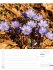Unser Wald Wochenplaner Kalender 2026 - Bild 15