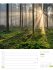 Unser Wald Wochenplaner Kalender 2026 - Bild 16