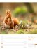 Unser Wald Wochenplaner Kalender 2026 - Bild 18