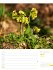 Unser Wald Wochenplaner Kalender 2026 - Bild 20