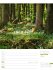 Unser Wald Wochenplaner Kalender 2026 - Bild 22