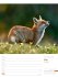 Unser Wald Wochenplaner Kalender 2026 - Bild 23