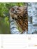 Unser Wald Wochenplaner Kalender 2026 - Bild 29