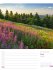 Unser Wald Wochenplaner Kalender 2026 - Bild 30