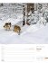 Unser Wald Wochenplaner Kalender 2026 - Bild 4