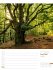 Unser Wald Wochenplaner Kalender 2026 - Bild 31