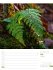 Unser Wald Wochenplaner Kalender 2026 - Bild 34