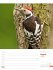 Unser Wald Wochenplaner Kalender 2026 - Bild 38
