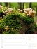 Unser Wald Wochenplaner Kalender 2026 - Bild 41