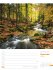 Unser Wald Wochenplaner Kalender 2026 - Bild 42