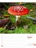 Unser Wald Wochenplaner Kalender 2026 - Bild 46
