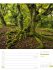 Unser Wald Wochenplaner Kalender 2026 - Bild 51