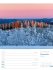 Unser Wald Wochenplaner Kalender 2026 - Bild 56