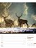 Unser Wald Wochenplaner Kalender 2026 - Bild 57