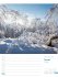 Unser Wald Wochenplaner Kalender 2026 - Bild 8