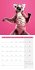 Dancing Animals Broschürenkalender... - Bild 8