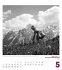 Alpengeschichten Kalender 2026 - Bild 6