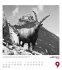 Alpengeschichten Kalender 2026 - Bild 10