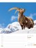 Faszination Alpenwelt Wochenplaner... - Bild 6