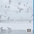 Why Do Birds Cross the Oceans? Animal... - Bild 2