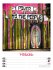 Street Art Wochenplaner Kalender 2026 - Bild 10