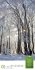 Mythos Wald Literatur-Kalender 2026 - Bild 2