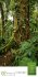 Mythos Wald Literatur-Kalender 2026 - Bild 3