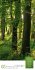 Mythos Wald Literatur-Kalender 2026 - Bild 4