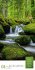 Mythos Wald Literatur-Kalender 2026 - Bild 5