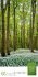 Mythos Wald Literatur-Kalender 2026 - Bild 6