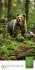 Mythos Wald Literatur-Kalender 2026 - Bild 7