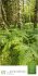 Mythos Wald Literatur-Kalender 2026 - Bild 8