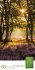 Mythos Wald Literatur-Kalender 2026 - Bild 9