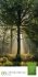 Mythos Wald Literatur-Kalender 2026 - Bild 10
