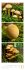 NaturZeit Triplet-Kalender 2026 - Bild 11