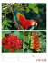 Farben der Natur Wochenplaner Kalender... - Bild 13